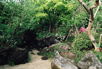 千葉県館山市 城山公園 茶室入口 南天よる空間美