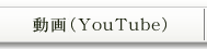 動画（YouTube）